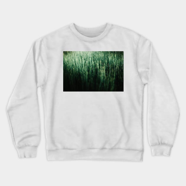 Moody meadow bathed in sunlight – Macro Photography Crewneck Sweatshirt by regnumsaturni